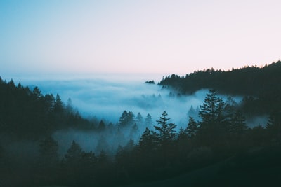 雾林鸟瞰摄影